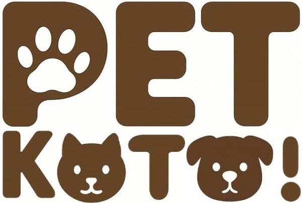Pet Ko 'To